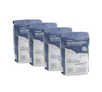 Algaplay Michelangelo Slow Setting, Alginate pour calques avec Indication chromatique des Phases de Travail (1800)