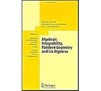 Algebraic Integrability, Painlevé Geometry And Lie Algebras