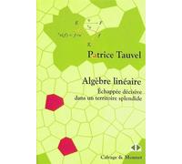Algèbre linéaire: Échappée décisive dans un territoire splendide