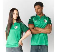 Adidas Algeria 26/27 Away Short Sleeve T-shirt Vert L Homme