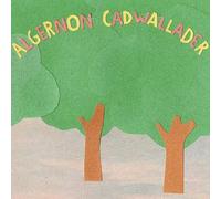 Algernon Cadwallader - Some Kind of Cadwallader
