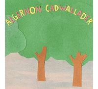 Algernon Cadwallader - Some Kind of Wallader
