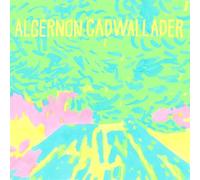 Algernon Cadwallader – Trying Not to Have a Thought – CD – Integral