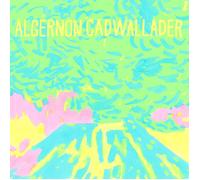 Algernon Cadwallader – Trying Not to Have a Thought – Vinyle LP blanc – Integral