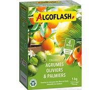 ALGOFLASH Engrais Agrumes, Olivers, Palmiers, Longue Durée, 1 kg, MED1R
