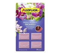 ALGOFLASH Engrais bâtonnets Orchidées, Action jusqu'à 3 mois, 20 bâtonnets, ABATORCN