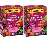 Algoflash Engrais Fraises et Petits Fruits, Action prolongée - 800 g (Lot de 2)
