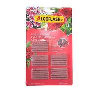 ALGOFLASH Engrais Géraniums et Plantes Fleuries, Longue Durée, 30 Bâtonnets, ABAFLEU30