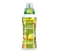 ALGOFLASH Engrais Liquide Agrumes, Citronniers, Orangers, UAB, 500 ml | Engrais liquide UAB avec fer pour des fruits abondants et des fleurs odorantes. Absorption optimale.