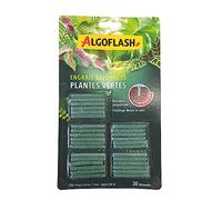 ALGOFLASH Engrais Plantes Vertes, Longue Durée, Apport de Fer, 30 Bâtonnets, ABAPAV30