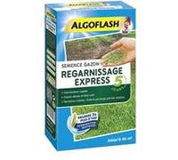 Semance gazon regarnissage express - 1 Kg