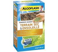 ALGOFLASH - Gazon terrain sec ensoleillé 1kg