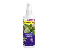 ALGOFLASH Hydratant Orchidées, Vaporisation 1 xfois par jour, 250 ml, AORCHYDRA250N, Violet
