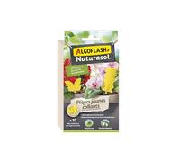Pièges collants - ALGOFLASH NATURASOL - Pièges jaunes décoratifs - 10 stickers