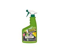Algoflash Engrais Naturasol Anti-chlorose reverdissant toutes plantes – Prêt à l'emploi 750 ml