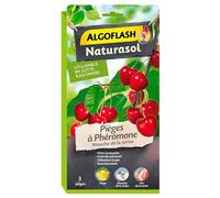 Pièges à phéromone Mouche de la cerise - ALGOFLASH NATURASOL - Pack de 3 pièges
