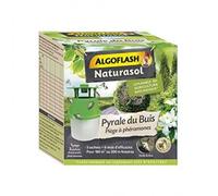 Algoflash Pyrale du buis - piège à phéromones