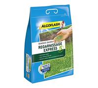ALGOFLASH Semence Gazon Regarnissage Express, Jusqu'à 135 m², Poids : 3 Kg, SEMEX3
