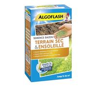 - Gazon terrain sec ensoleillé 1kg