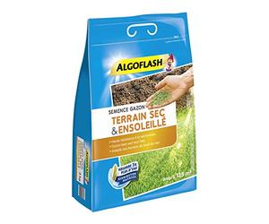 ALGOFLASH Semence Gazon Terrain Sec et Ensoleillé, 3 Kg, Jusqu'à 135 m², SEMSOL3