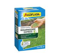 ALGOFLASH Semences Gazon Regarnissage Express 5 jours, 2,5 kg