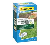 ALGOFLASH Semences Gazon Regarnissage, Germination Express 5 Jours, 800 g