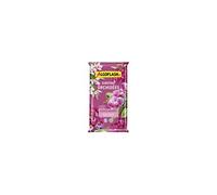 ALGOFLASH Substrat pour orchidées 6 L - Ecorce de pin aéré - Pour Phalaenopsis, Cattleya, Cymbidium