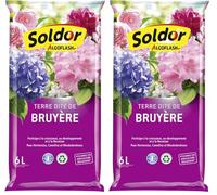 Algoflash Terre Dite de Bruyère, UAB, Prête à l'emploi, Fabriquée en France, 6 L, TB6 (Lot de 2)