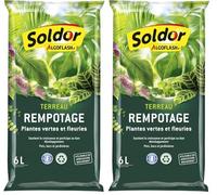 ALGOFLASH Terreau Rempotage Plantes Vertes et Plantes Fleuries, UAB, Prêt à l'emploi, Fabriqué en France, 6 L,TREMP6 (Lot de 2)