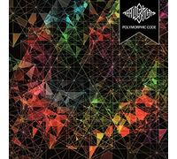 The Algorithm