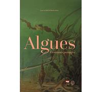 Algues: Etonnants paysages
