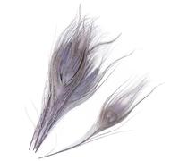 ALGUES Lot de 10 plumes de paon colorées à grands yeux - 15 à 25 cm - Décoration pour bricolage, bijoux, mariage, maison, travaux manuels, accessoires