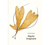 Alguier imaginaire