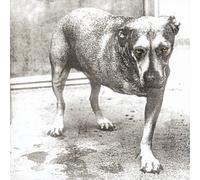 Alice in chains CD