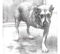 Alice In Chains – Alice In Chains (Green)