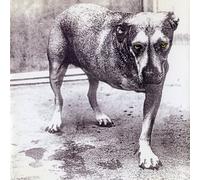 Alice In Chains – Alice In Chains (Green)