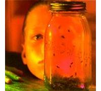 Alice in Chains - Jar of Flies