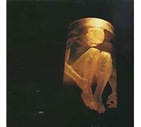 Alice in Chains - Nothing Safe-Best of Box