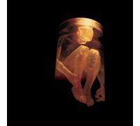 Alice In Chains Nothing Safe: Best of (CD)