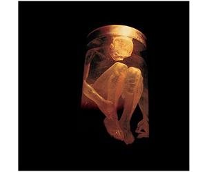Alice in Chains - Nothing Safe-Best of the Box