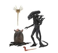 Alien 1979 Statue Alien Ultimate 40e Anniversaire Big Chap Figurine 23cm Neca