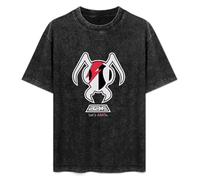 Alien Ant Farm 2016 Tour Men's Unisex Black Cotton Print Tees T-Shirt Black M