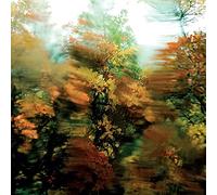 Alien Mustangs - The World As I am [Import]