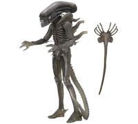Alien NECA Xenomorph 40th Anniversary H857800 Cranberry