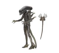 Alien NECA Xenomorph 40th Anniversary H857800 Cranberry