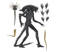 Alien Romulus Xenomorph XX121 Termat Af Action NECA Figure