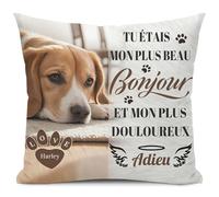 Alienc Coussin Souvenir Personnalisé Chien ou Chat avec Photo et Prénom - Cadeau Décès Animal, Housse de Coussin Mémoire, Perte de Chien ou Chat, Cadeau Condoléances Personnalisé