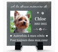 Alienc Plaque Funéraire Chien Chat Personnalisée - Ardoise Pierre Tombe | Plaque commémorative avec photo, nom et date pour jardin. Cadeau souvenir hommage après la perte d'un chien ou chat.