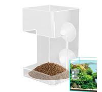 Aliment pour poissons d'aquarium - Plat avec ventouse - Fournitures d'alimentation claires - Bol de support alimentaire - Accessoires de réservoir Turtle Shrimp