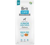 Aliment sec - BRIT - Care Dog - Junior Large - Saumon - 12 kg